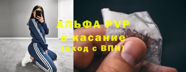 прущие крисы Верея