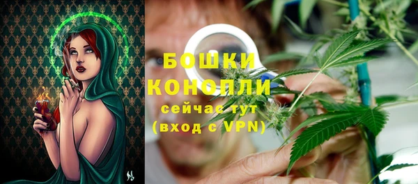 прущие крисы Верея