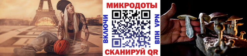 Купить где  Ачинск  Псилоцибиновые грибы мицелий 